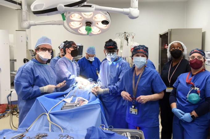 Médicos dos EUA fazem primeiro transplante de coração de porco em humano